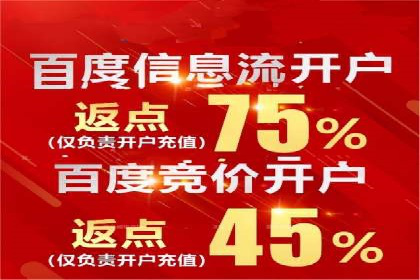 竞价排名案例：快速抢占市场先机